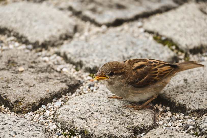 The current image has no alternative text. The file name is: julietta-watson-aBZVCZnd2_Q-unsplash-1-scaled.jpg