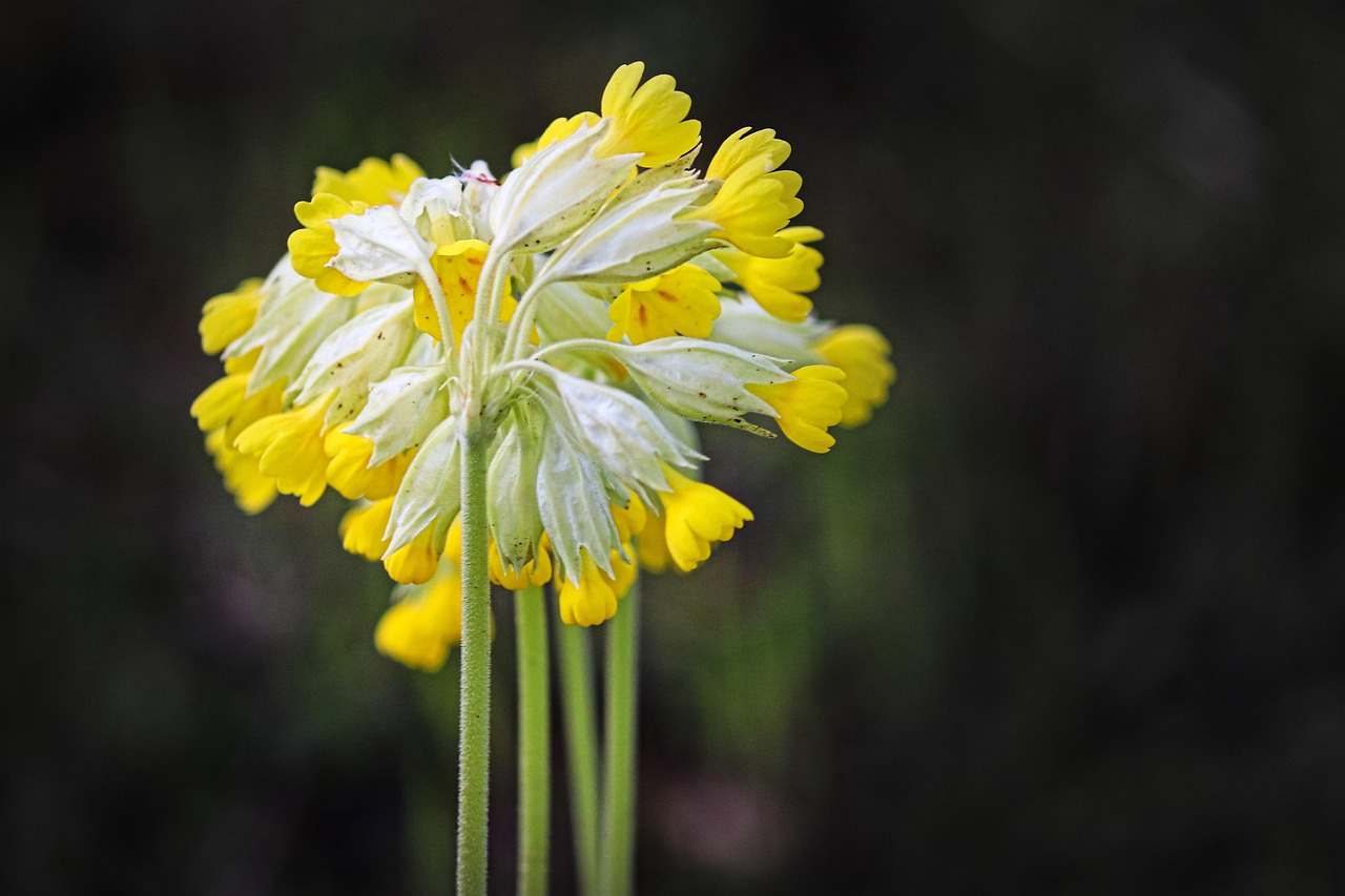 The current image has no alternative text. The file name is: lingyun-hou-S6Ly0F1jYtk-unsplash-scaled.jpg