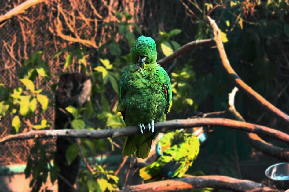 The current image has no alternative text. The file name is: susan-wilkinson-gSOdp7YlgNQ-unsplash-scaled.jpg