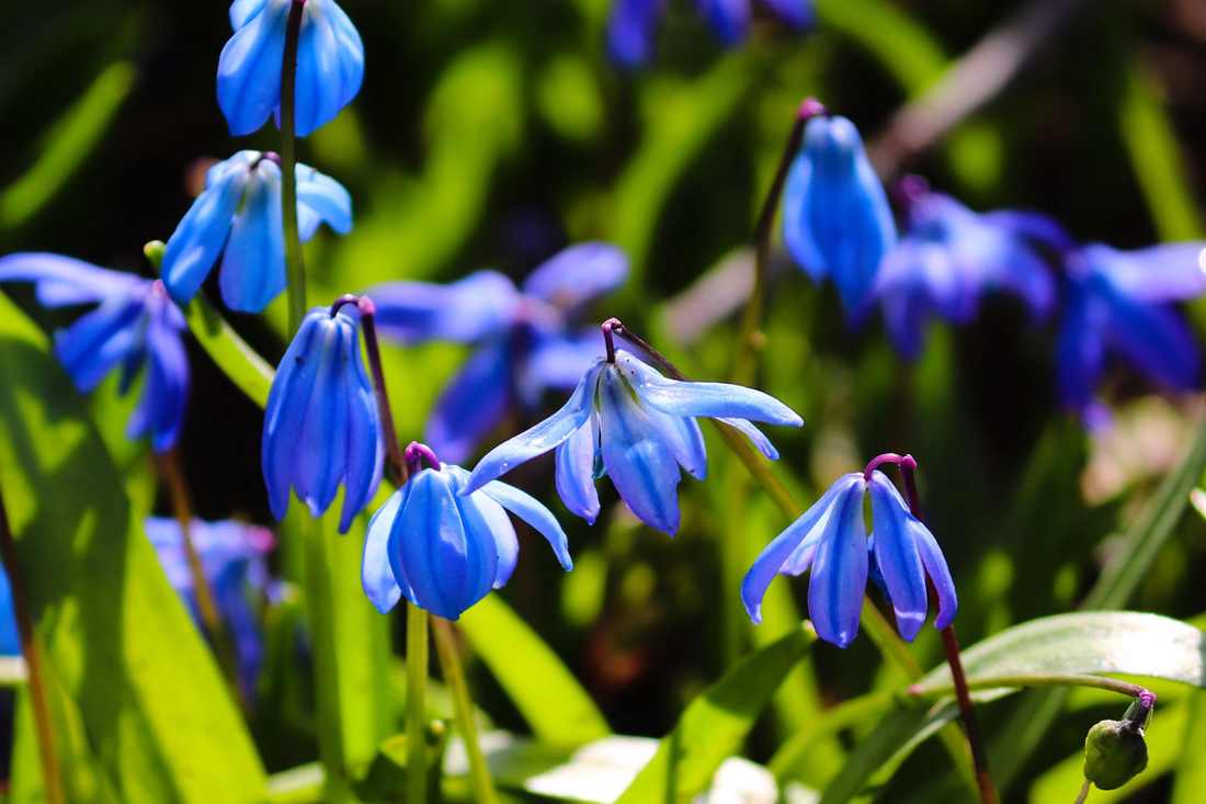 Eco-Friendly Beauty Rituals Inspired by Ancient Wisdom